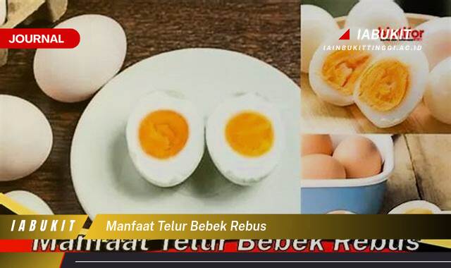 Inilah 8 Manfaat Telur Bebek Rebus untuk Kesehatan Tubuh Anda