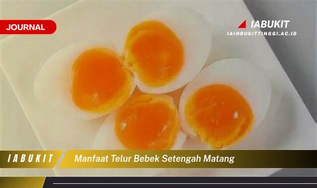 Inilah 8 Manfaat Telur Bebek Setengah Matang untuk Kesehatan Anda