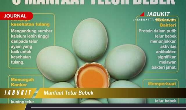 Inilah 10 Manfaat Telur Bebek untuk Kesehatan, Nutrisi Lengkap dan Kaya Protein