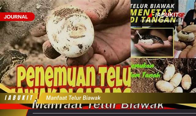 Inilah 9 Manfaat Telur Biawak untuk Kesehatan dan Kecantikan yang Perlu Anda Ketahui