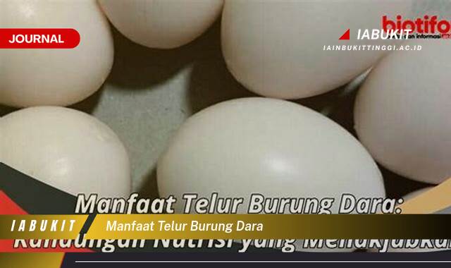 Inilah 10 Manfaat Telur Burung Dara untuk Kesehatan Tubuh Anda