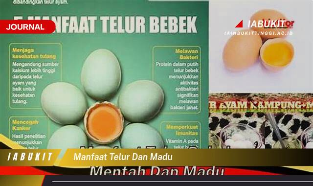 Inilah 8 Manfaat Telur dan Madu, Kombinasi Super untuk Kesehatan dan Kecantikan Anda