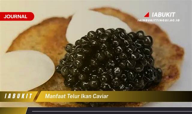 Ketahui 9 Manfaat Telur Ikan Caviar yang Mewah Untuk Kesehatan dan Kecantikan Ketahui 9 Manfaat Telur Ikan Caviar yang Mewah Untuk Kesehatan dan Kecantikan