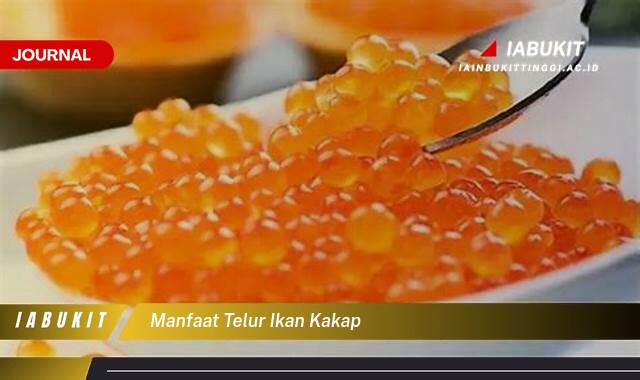 Inilah 10 Manfaat Telur Ikan Kakap untuk Kesehatan Jantung Anda