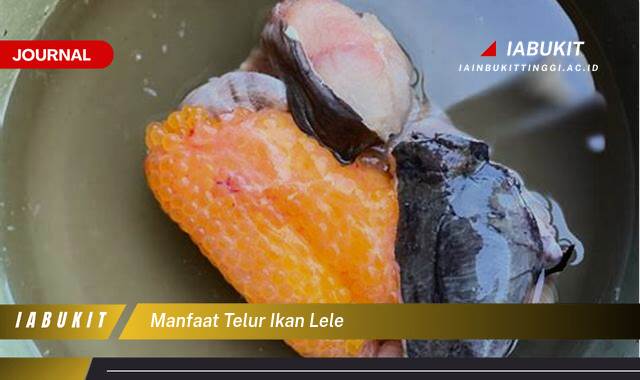 Inilah 10 Manfaat Telur Ikan Lele untuk Kesehatan, Kecantikan, dan Lainnya