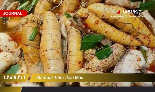 Inilah 10 Manfaat Telur Ikan Mas untuk Kesehatan, Kaya Nutrisi dan Meningkatkan Imunitas Inilah 10 Manfaat Telur Ikan Mas untuk Kesehatan, Kaya Nutrisi dan Meningkatkan Imunitas