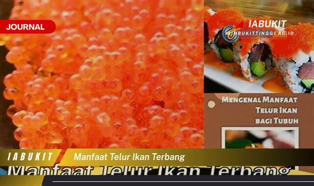 Inilah 10 Manfaat Telur Ikan Terbang untuk Kesehatan Anda