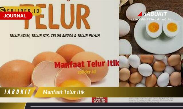 Inilah 9 Manfaat Telur Itik untuk Kesehatan, Kecantikan, dan Lainnya