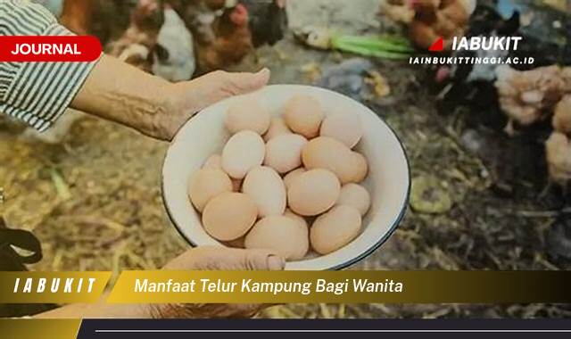 Inilah 8 Manfaat Telur Kampung Bagi Wanita, Meningkatkan Kesehatan dan Kecantikan Secara Alami