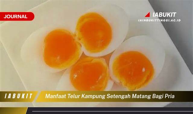 Inilah 10 Manfaat Telur Kampung Setengah Matang bagi Pria, Energi, Vitalitas, dan Lebih!