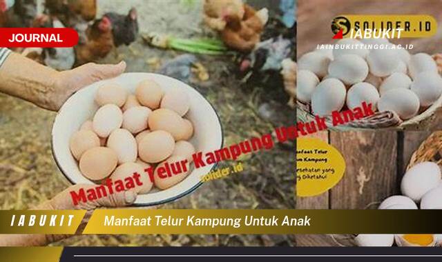 Ketahui 9 Manfaat Telur Kampung untuk Anak, Gizi Lengkap, Sehat dan Optimal