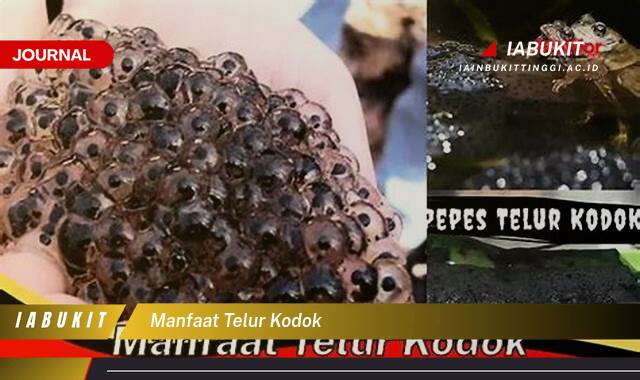 Inilah 9 Manfaat Telur Kodok untuk Kesehatan, Kandungan Nutrisi dan Potensi Efek Sampingnya