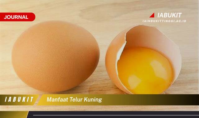 Inilah 10 Manfaat Telur Kuning, Meningkatkan Kesehatan Mata dan Kekebalan Tubuh