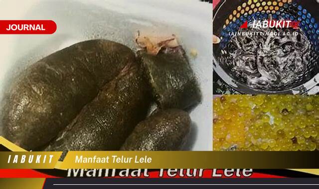 Inilah 10 Manfaat Telur Lele untuk Kesehatan, Sumber Nutrisi yang Kaya