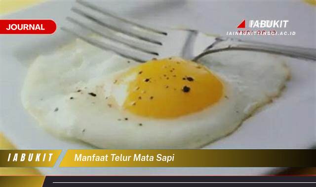 Inilah 9 Manfaat Telur Mata Sapi untuk Kesehatan Tubuh Anda