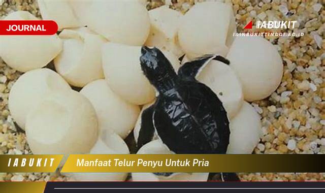 Inilah 8 Manfaat Telur Penyu untuk Pria, Fakta, Mitos, dan Bahaya yang Perlu Diketahui
