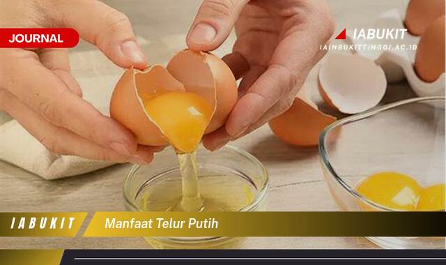 Inilah 8 Manfaat Telur Putih untuk Kesehatan, Kecantikan, dan Kebugaran Inilah 8 Manfaat Telur Putih untuk Kesehatan, Kecantikan, dan Kebugaran