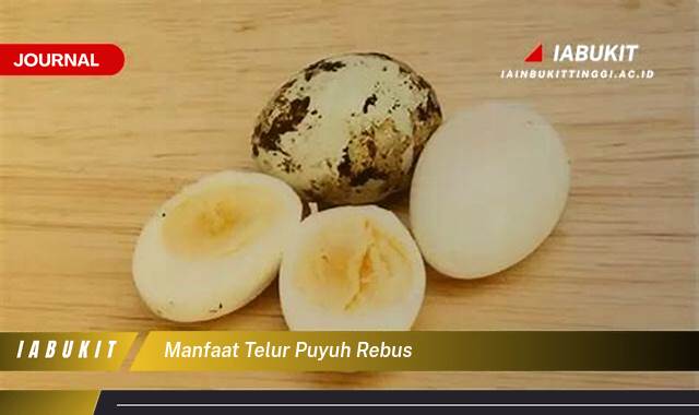 Inilah 8 Manfaat Telur Puyuh Rebus, Meningkatkan Kesehatan Jantung dan Otak Anda