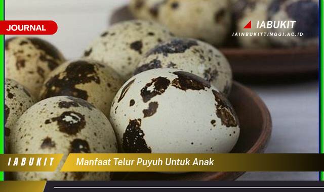 Inilah 9 Manfaat Telur Puyuh untuk Anak, Meningkatkan Daya Tahan Tubuh dan Kecerdasan