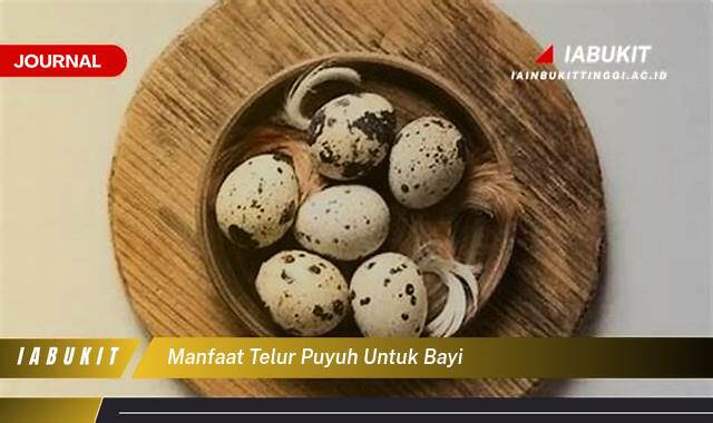 Inilah 10 Manfaat Telur Puyuh untuk Bayi, Pertumbuhan Optimal, Kecerdasan, dan Kesehatan