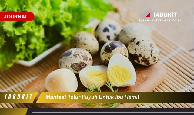 Inilah 8 Manfaat Telur Puyuh untuk Ibu Hamil, Nutrisi Penting bagi Janin dan Kesehatan Bunda