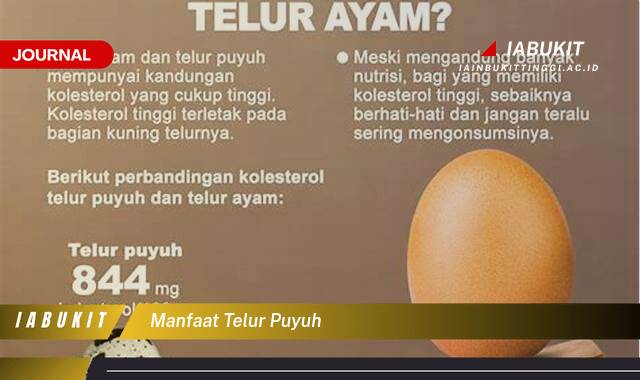 Inilah 10 Manfaat Telur Puyuh untuk Kesehatan Tubuh Anda