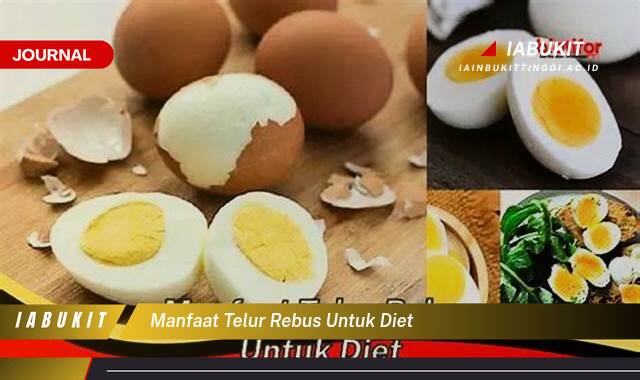 Inilah 9 Manfaat Telur Rebus untuk Diet, Turunkan Berat Badan Secara Efektif dan Sehat