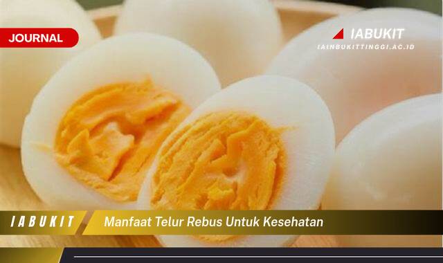 Inilah 9 Manfaat Telur Rebus untuk Kesehatan, Panduan Praktis dan Lengkap