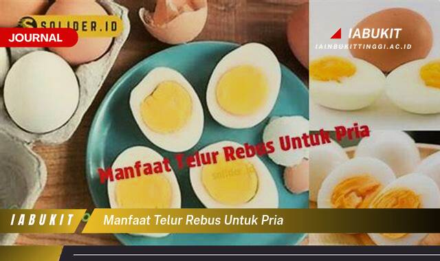 Inilah 9 Manfaat Telur Rebus untuk Pria, Meningkatkan Kesehatan dan Vitalitas