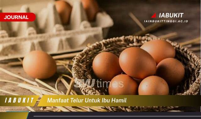 Inilah 8 Manfaat Telur untuk Ibu Hamil, Panduan Lengkap Nutrisi dan Kesehatan