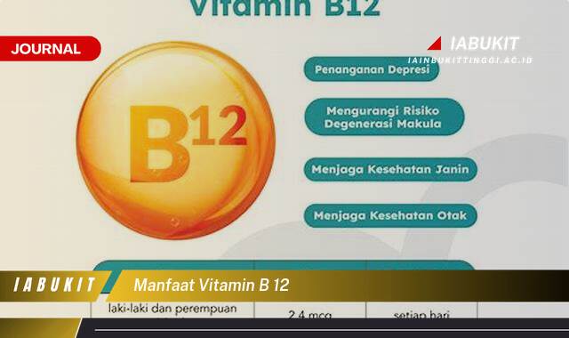 Inilah 8 Manfaat Vitamin B12 untuk Kesehatan Tubuh dan Cara Mendapatkannya