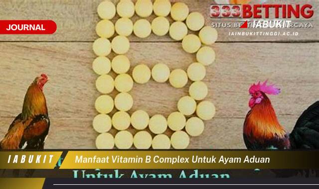 Inilah 8 Manfaat Vitamin B Complex untuk Ayam Aduan, Tingkatkan Performa dan Kesehatan Ayam Petarung Anda