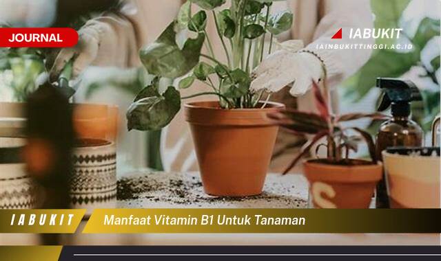 Inilah 10 Manfaat Vitamin B1 untuk Tanaman, Pupuk Ajaib untuk Pertumbuhan Optimal