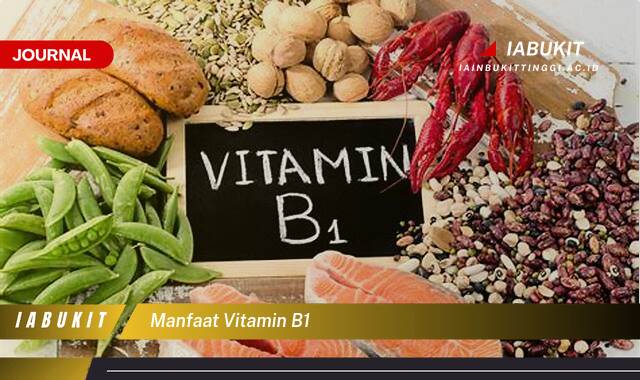 Inilah 10 Manfaat Vitamin B1 untuk Kesehatan Tubuh Anda Inilah 10 Manfaat Vitamin B1 untuk Kesehatan Tubuh Anda