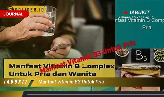 Inilah 10 Manfaat Vitamin B3 untuk Pria Meningkatkan Energi dan Kesehatan Jantung