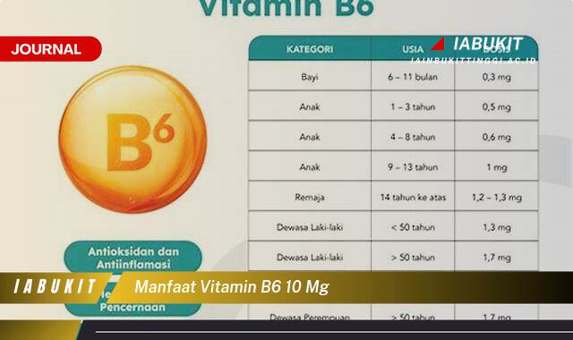 Inilah 8 Manfaat Vitamin B6 10 mg untuk Kesehatan Tubuh Anda