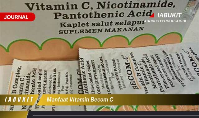 Inilah 8 Manfaat Vitamin Becom C untuk Kesehatan Tubuh Anda