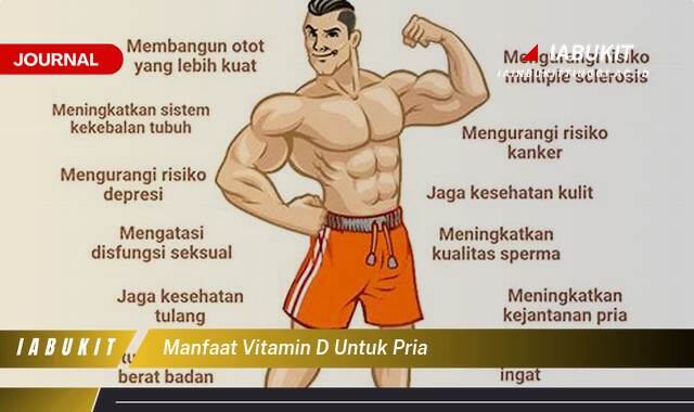 Inilah 8 Manfaat Vitamin D untuk Pria, Kunci Kesehatan Prima dan Performa Optimal