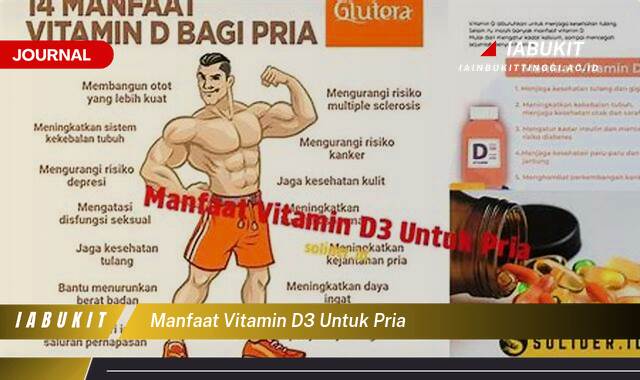 Inilah 8 Manfaat Vitamin D3 untuk Pria, Kunci Kesehatan Prima dan Performa Optimal