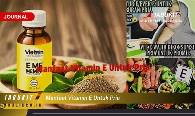 Inilah 9 Manfaat Vitamin E untuk Pria, Kesehatan, Vitalitas, dan Penampilan Prima