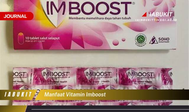 Inilah 8 Manfaat Vitamin Imboost untuk Kesehatan Tubuh Anda