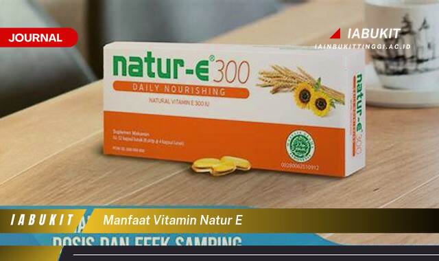 Inilah 8 Manfaat Vitamin Natur E untuk Kulit, Kecantikan, Kesehatan, dan Cara Mendapatkannya